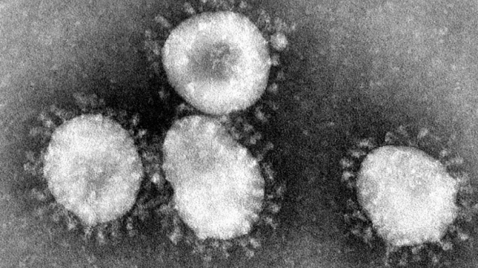 Coronavirus