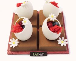 Framboos - Chocolade Krokante bodem van framboos, chocolademousse 66%, witte chocolademousse met vanille en coulis van frambozen